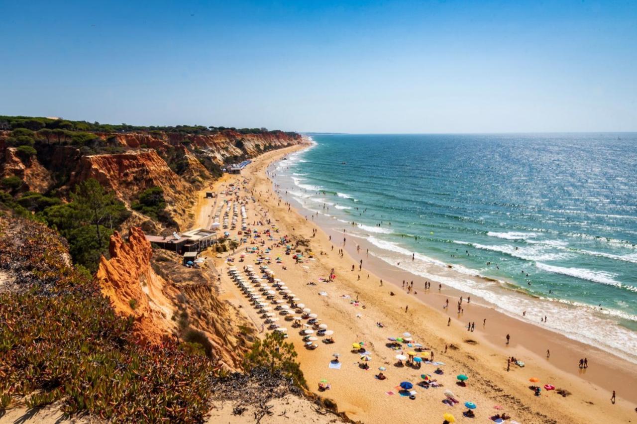 Balaia 3Br Sunny Terrace Apartment Albufeira Ngoại thất bức ảnh